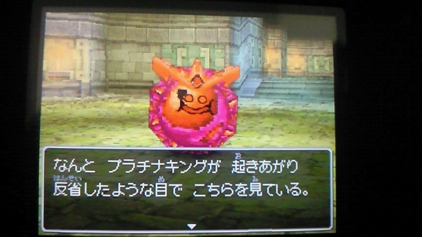 憩いのsdfc亭のブログ ちょいグロ注意 ドラクエ９の配信クエストより